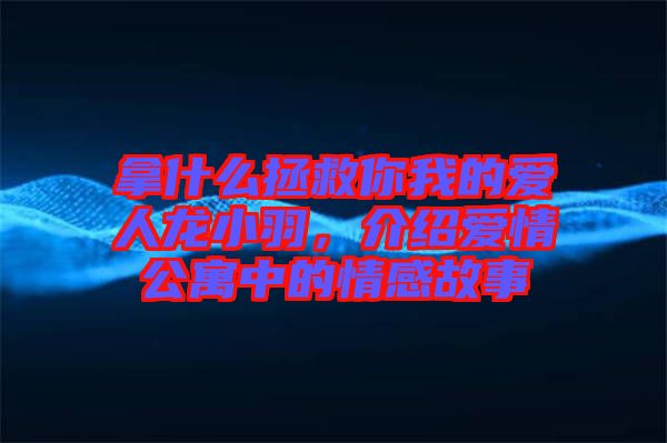 拿什么拯救你我的愛人龍小羽，介紹愛情公寓中的情感故事