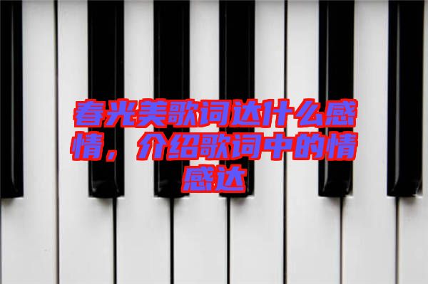 春光美歌詞達(dá)什么感情，介紹歌詞中的情感達(dá)