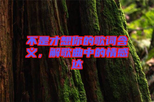 不是才想你的歌詞含義，解歌曲中的情感達(dá)