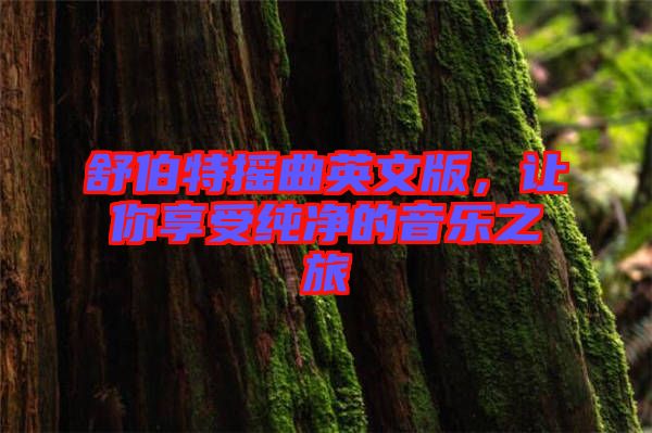 舒伯特?fù)u曲英文版，讓你享受純凈的音樂(lè)之旅