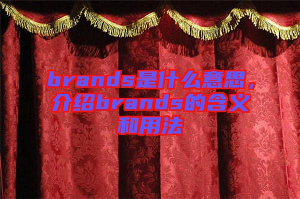 brands是什么意思，介紹brands的含義和用法