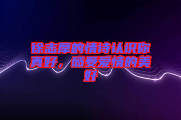 徐志摩的情詩認識你真好，感受愛情的美好