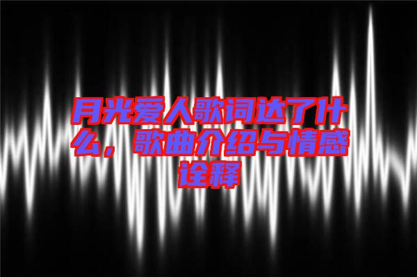 月光愛人歌詞達了什么，歌曲介紹與情感詮釋