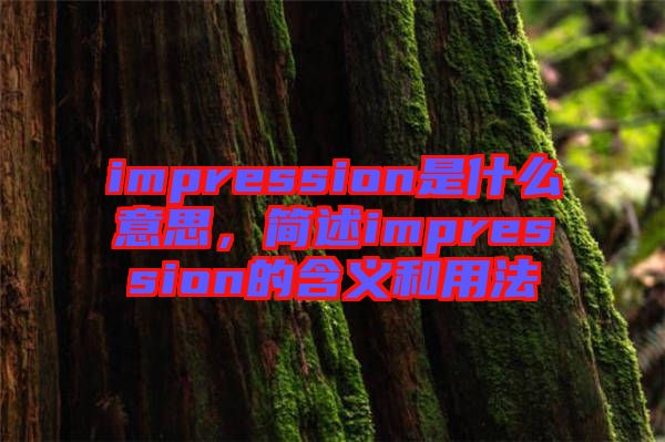 impression是什么意思，簡(jiǎn)述impression的含義和用法