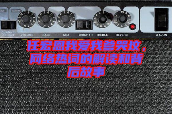 任宏恩我愛我爹哭墳，網(wǎng)絡熱詞的解讀和背后故事