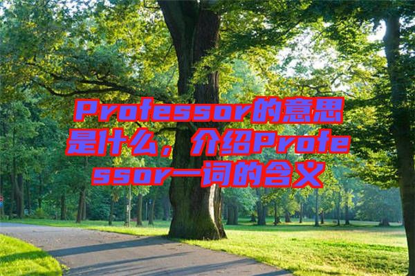 Professor的意思是什么，介紹Professor一詞的含義