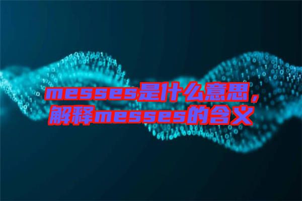 messes是什么意思，解釋messes的含義