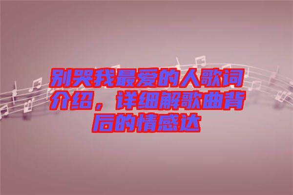 別哭我最愛的人歌詞介紹，詳細(xì)解歌曲背后的情感達