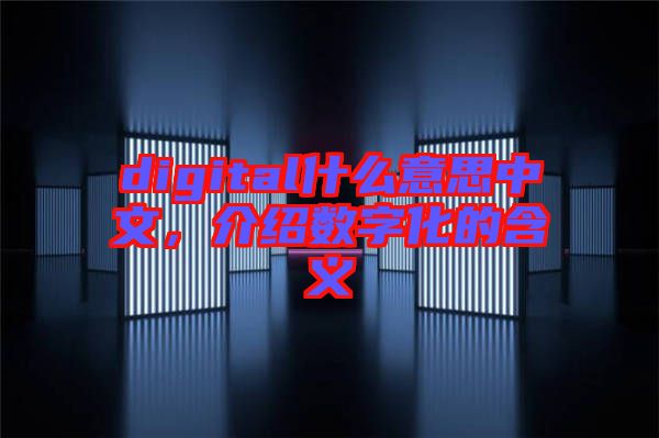 digital什么意思中文，介紹數(shù)字化的含義