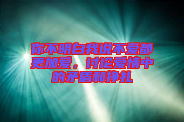 你不明白我說不愛都更加愛，討論愛情中的矛盾和掙扎