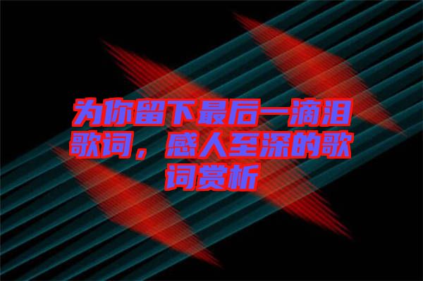 為你留下最后一滴淚歌詞，感人至深的歌詞賞析