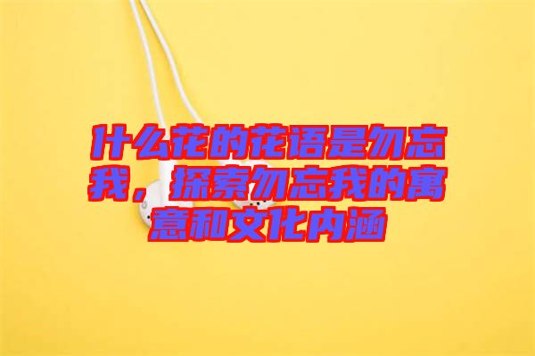 什么花的花語是勿忘我，探索勿忘我的寓意和文化內涵