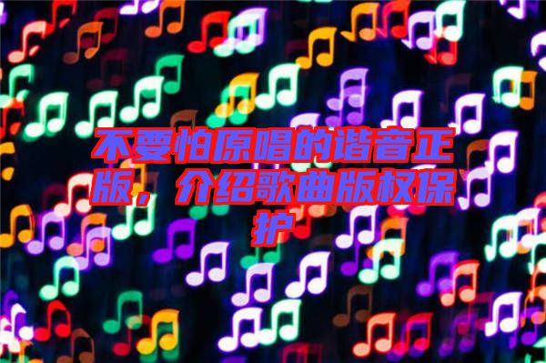 不要怕原唱的諧音正版，介紹歌曲版權(quán)保護(hù)