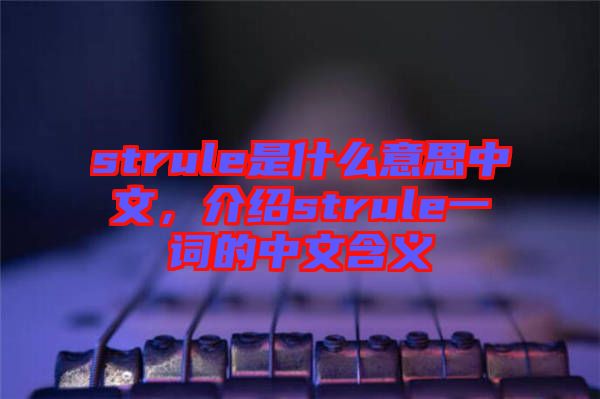 strule是什么意思中文，介紹strule一詞的中文含義