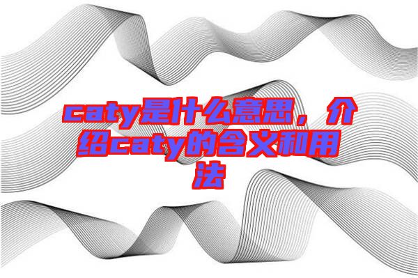 caty是什么意思，介紹caty的含義和用法