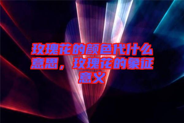 玫瑰花的顏色代什么意思，玫瑰花的象征意義