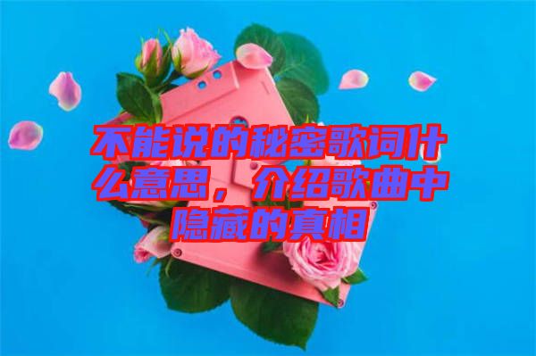 不能說的秘密歌詞什么意思，介紹歌曲中隱藏的真相