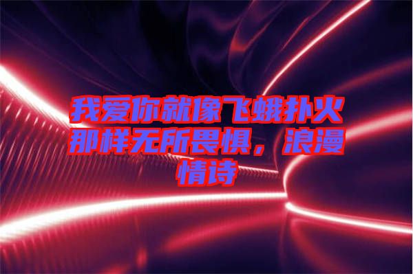 我愛你就像飛蛾撲火那樣無所畏懼，浪漫情詩