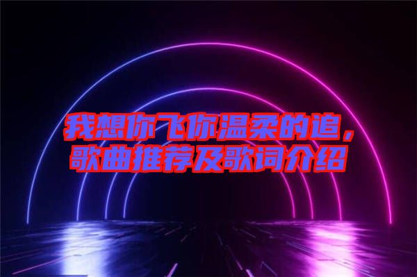 我想你飛你溫柔的追，歌曲推薦及歌詞介紹