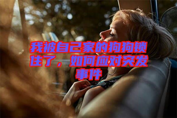 我被自己家的狗狗鎖住了，如何應(yīng)對(duì)突發(fā)事件