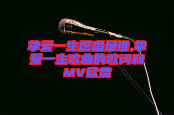 摯愛一生原唱是誰(shuí),摯愛一生歌曲的歌詞和MV欣賞