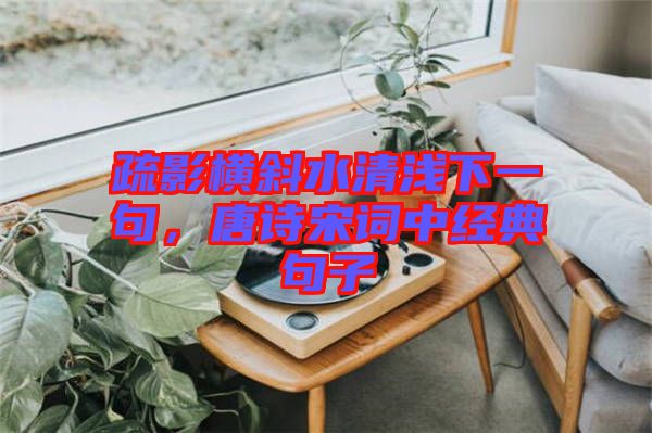 疏影橫斜水清淺下一句，唐詩(shī)宋詞中經(jīng)典句子