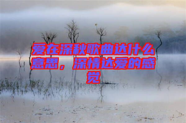 愛(ài)在深秋歌曲達(dá)什么意思，深情達(dá)愛(ài)的感覺(jué)