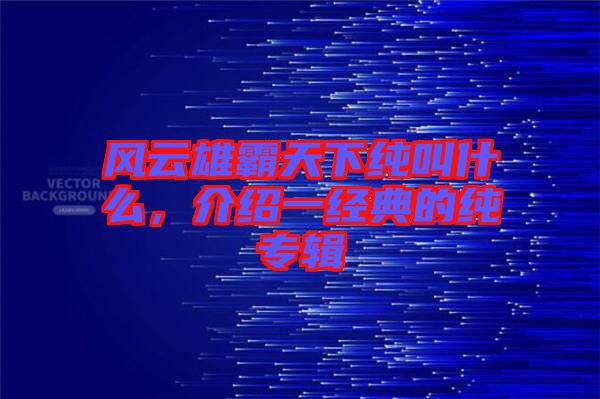 風(fēng)云雄霸天下純叫什么，介紹一經(jīng)典的純專輯