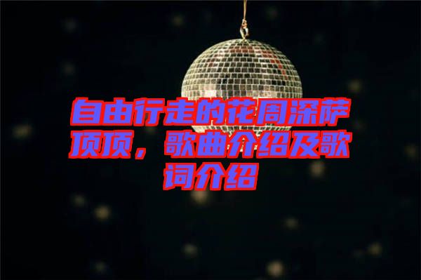 自由行走的花周深薩頂頂，歌曲介紹及歌詞介紹