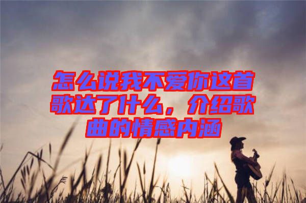 怎么說我不愛你這首歌達(dá)了什么，介紹歌曲的情感內(nèi)涵