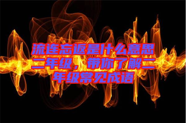 流連忘返是什么意思二年級，帶你了解二年級常見成語