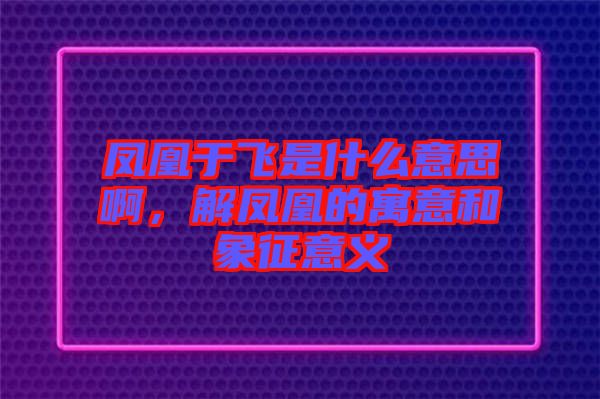 鳳凰于飛是什么意思啊，解鳳凰的寓意和象征意義