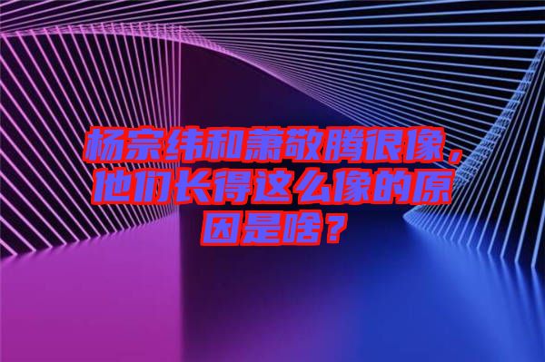 楊宗緯和蕭敬騰很像，他們長得這么像的原因是啥？