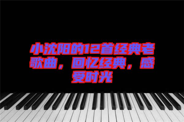 小沈陽的12首經(jīng)典老歌曲，回憶經(jīng)典，感受時光