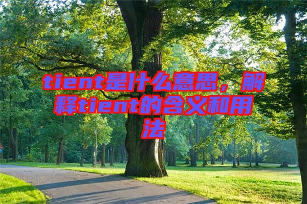 tient是什么意思，解釋tient的含義和用法