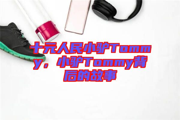 十元人民小驢Tommy，小驢Tommy背后的故事