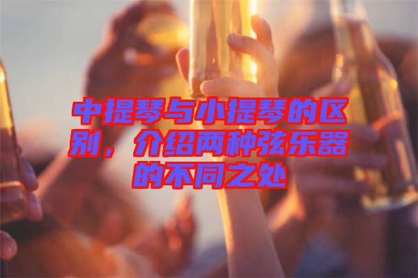 中提琴與小提琴的區(qū)別，介紹兩種弦樂器的不同之處