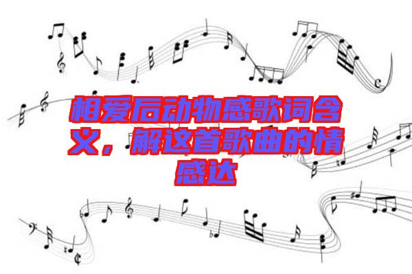 相愛后動物感歌詞含義，解這首歌曲的情感達(dá)