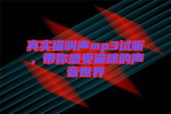 真實貓叫聲mp3試聽，帶你感受貓咪的聲音世界