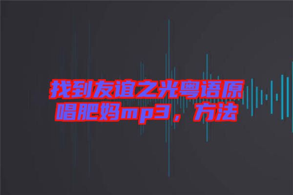 找到友誼之光粵語原唱肥媽mp3，方法