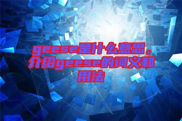 geese是什么意思，介紹geese的詞義和用法