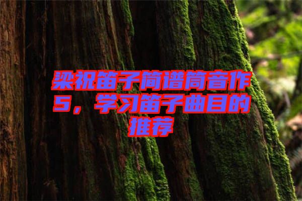 梁祝笛子簡譜筒音作5，學(xué)習(xí)笛子曲目的推薦