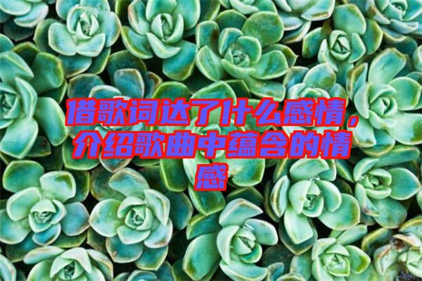 借歌詞達(dá)了什么感情，介紹歌曲中蘊(yùn)含的情感