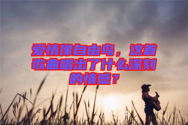 愛情像自由鳥，這首歌曲唱出了什么深刻的情感？