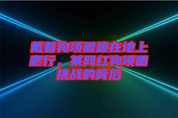 戴著狗項圈跪在地上爬行，某網(wǎng)紅狗項圈挑戰(zhàn)的背后