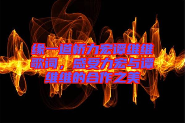 緣一道橋力宏譚維維歌詞，感受力宏與譚維維的合作之美