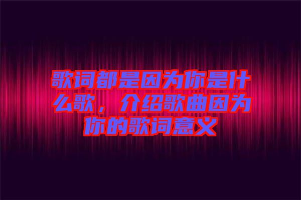 歌詞都是因?yàn)槟闶鞘裁锤?，介紹歌曲因?yàn)槟愕母柙~意義