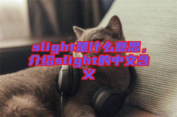 slight是什么意思，介紹slight的中文含義