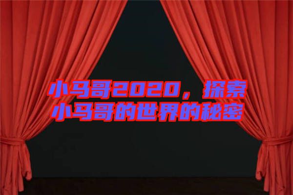 小馬哥2020，探索小馬哥的世界的秘密