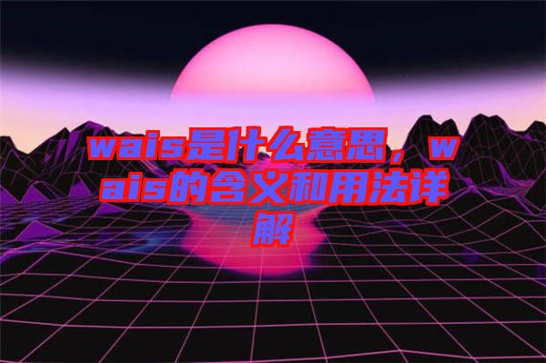 wais是什么意思，wais的含義和用法詳解